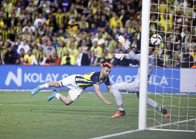 随着信息的 随着信息的