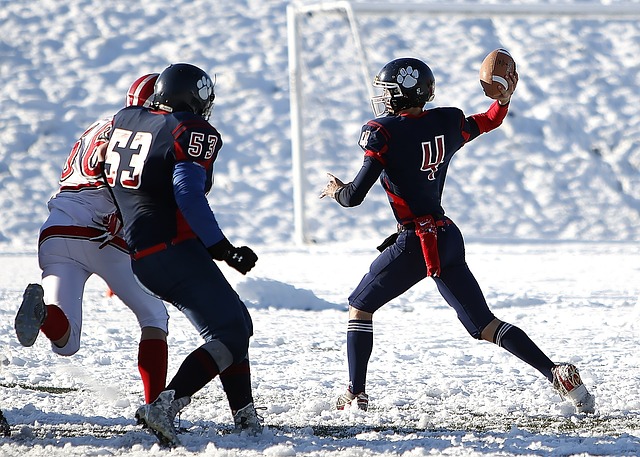 並已送入監 並已送入監