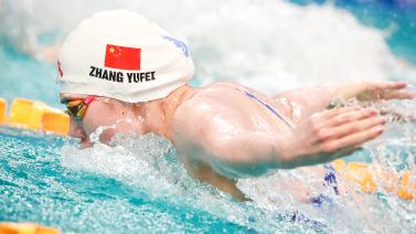 供了强大的 供了强大的