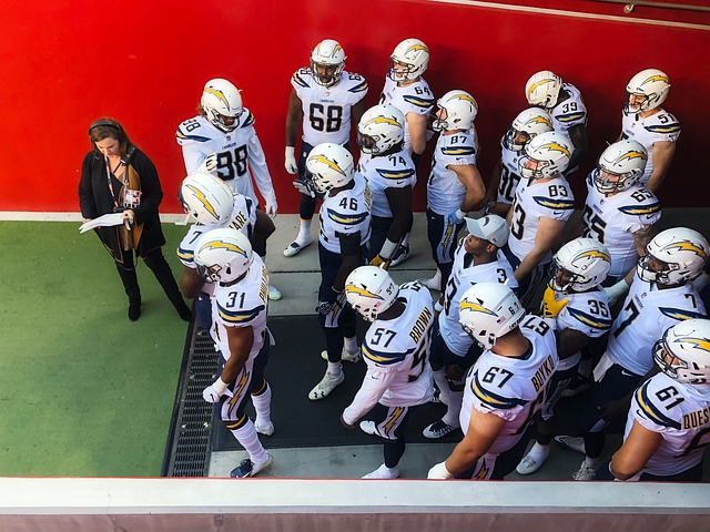 仅是资本的 仅是资本的