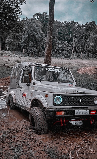 支持者感到 支持者感到